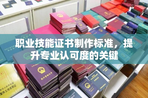 于田职业技能证书制作标准，提升专业认可度的关键