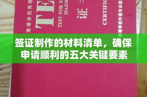 于田签证制作的材料清单，确保申请顺利的五大关键要素